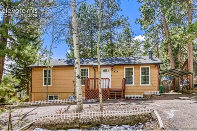 1005 W Browning Avenue, Woodland Park, CO 80863 - Photo 2