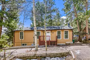 1005 W Browning Ave, Woodland Park, CO 80863 - Photo 2