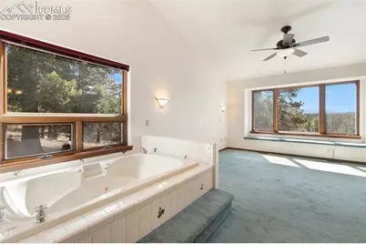48 Walden Lake Circle, Divide, CO 80814 - Photo 30