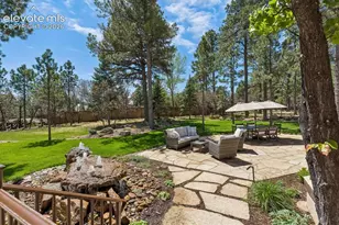 668 Silver Oak Grove, Colorado Springs, CO 80906 - Photo 34