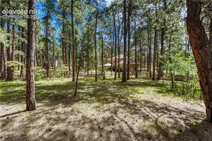 15849 Longmeadow Ln, Colorado Springs, CO 80921 - Photo 44