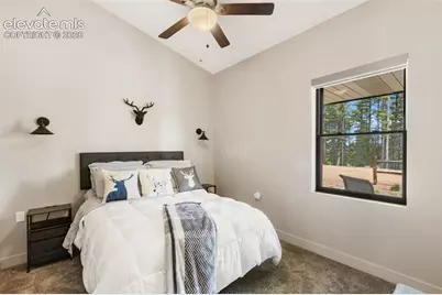 5542 North Road, Divide, CO 80814 - Photo 28