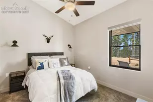 5542 N Rd, Divide, CO 80814 - Photo 28