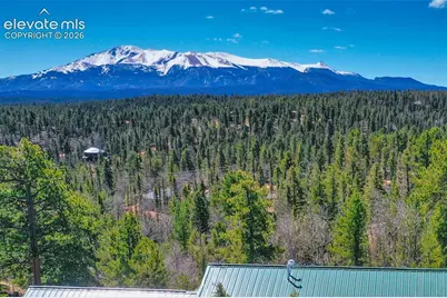 5542 North Road, Divide, CO 80814 - Photo 2