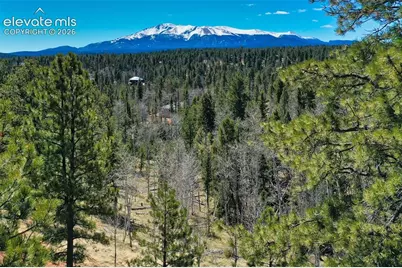 5542 North Road, Divide, CO 80814 - Photo 20