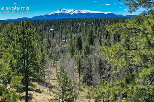 5542 N Rd, Divide, CO 80814 - Photo 20