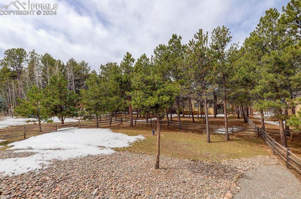 1116 Ptarmigan Dr, Woodland Park CO 80863-8004 exterior