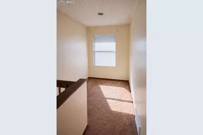 661 Shooks Lane, Colorado Springs, CO 80903 - Photo 10