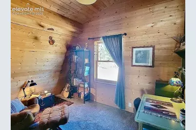 475 Sioux Road, Florissant, CO 80816 - Photo 18