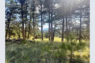 475 Sioux Road, Florissant, CO 80816 - Photo 8