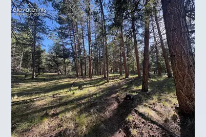 475 Sioux Road, Florissant, CO 80816 - Photo 38