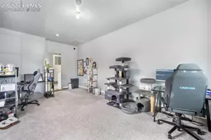 217 Steven Dr, Colorado Springs, CO 80911 - Photo 22
