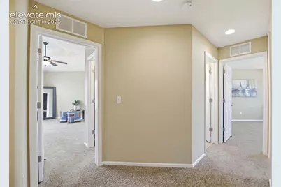 5417 Marco Alley, Colorado Springs, CO 80924 - Photo 16