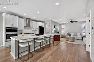 8652 Hoopla Way, Colorado Springs, CO 80924 - Photo 4