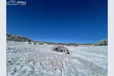 108 Wrangler Drive, Lake George, CO 80827 - Photo 2