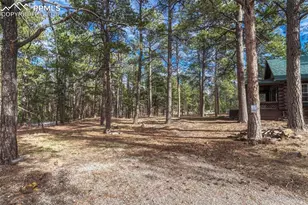 14425 Black Forest Rd, Colorado Springs, CO 80908 - Photo 34