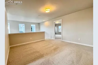 17737 Lemon Rye Loop, Monument, CO 80132 - Photo 8