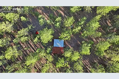 163 Ouray Road, Florissant, CO 80816 - Photo 4