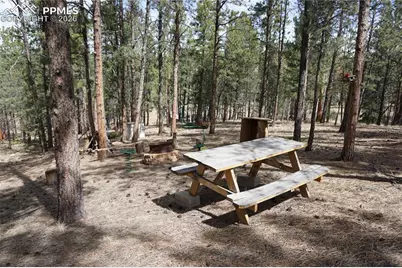 163 Ouray Road, Florissant, CO 80816 - Photo 30