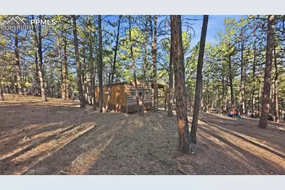 163 Ouray Road, Florissant, CO 80816 - Photo 8