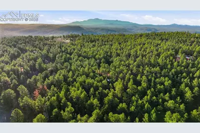 163 Ouray Road, Florissant, CO 80816 - Photo 44