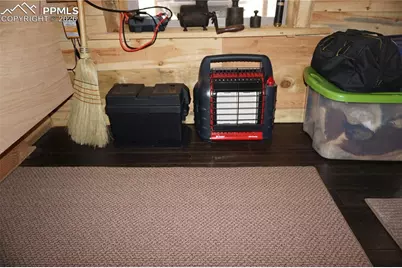 163 Ouray Road, Florissant, CO 80816 - Photo 22