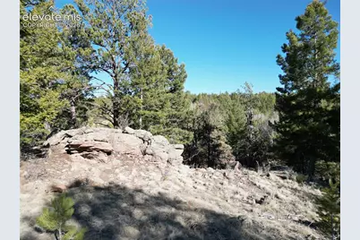 421 Crescent Drive, Florissant, CO 80816 - Photo 6