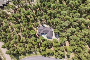 4475 Wavy Oak Dr, Colorado Springs, CO 80908 - Photo 2