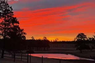 16530 Remington Rd, Colorado Springs, CO 80908 - Photo 44