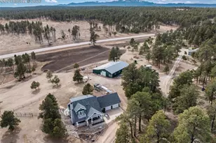 16530 Remington Rd, Colorado Springs, CO 80908 - Photo 4