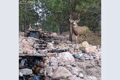 17045 Viscount Court, Monument, CO 80132 - Photo 18