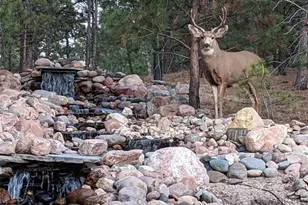 17045 Viscount Ct, Monument, CO 80132 - Photo 18