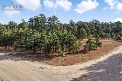 18230 Cumbres Court, Peyton, CO 80831 - Photo 16
