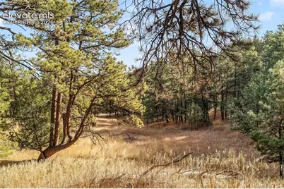 18230 Cumbres Court, Peyton, CO 80831 - Photo 30