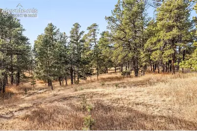 18230 Cumbres Court, Peyton, CO 80831 - Photo 26