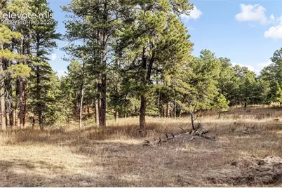 18230 Cumbres Court, Peyton, CO 80831 - Photo 34