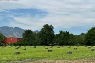 1537 Willow St, Canon City, CO 81212 - Photo 50