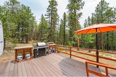 1459 Conestoga Creek Road, Florissant, CO 80816 - Photo 6