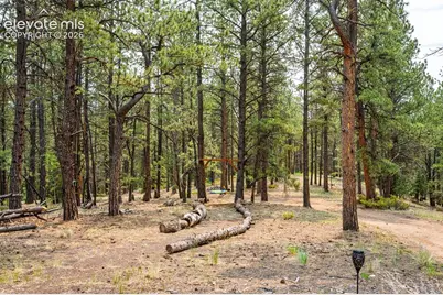 1459 Conestoga Creek Road, Florissant, CO 80816 - Photo 16