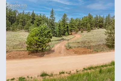 1459 Conestoga Creek Road, Florissant, CO 80816 - Photo 2