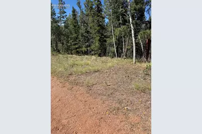 1007 Derby Drive, Cripple Creek, CO 80813 - Photo 2