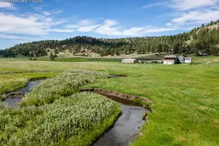 1636 Lakemoor Dr, Florissant, CO 80816 - Photo 4