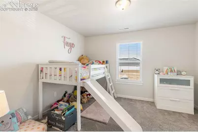 7929 Polson Drive, Colorado Springs, CO 80908 - Photo 22