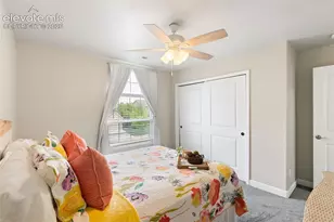 3415 Limber Pine Ct, Colorado Springs, CO 80920 - Photo 26