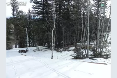 372 Vindicator Drive, Cripple Creek, CO 80813 - Photo 10