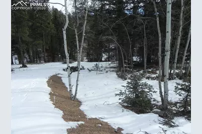 372 Vindicator Drive, Cripple Creek, CO 80813 - Photo 14