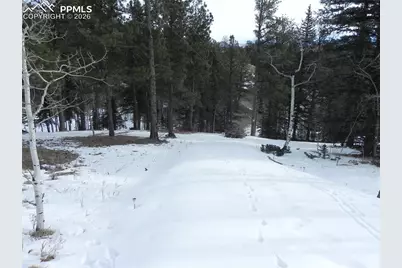 372 Vindicator Drive, Cripple Creek, CO 80813 - Photo 12