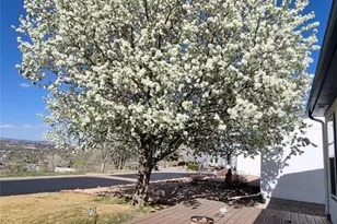 65 Pendelton Cir, Colorado Springs, CO 80914 - Photo 48