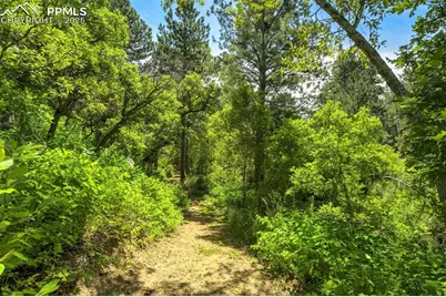 400 Valley Crescent Street, Palmer Lake, CO 80133 - Photo 48