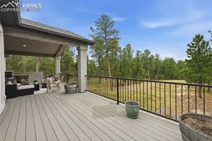 1125 Edenhurst Ct, Monument, CO 80132 - Photo 24